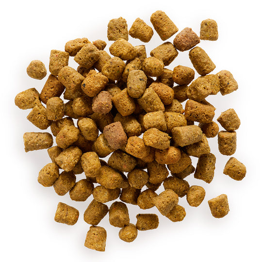 Freeze-Dried Beef & Vegetables Dog Food and Topper