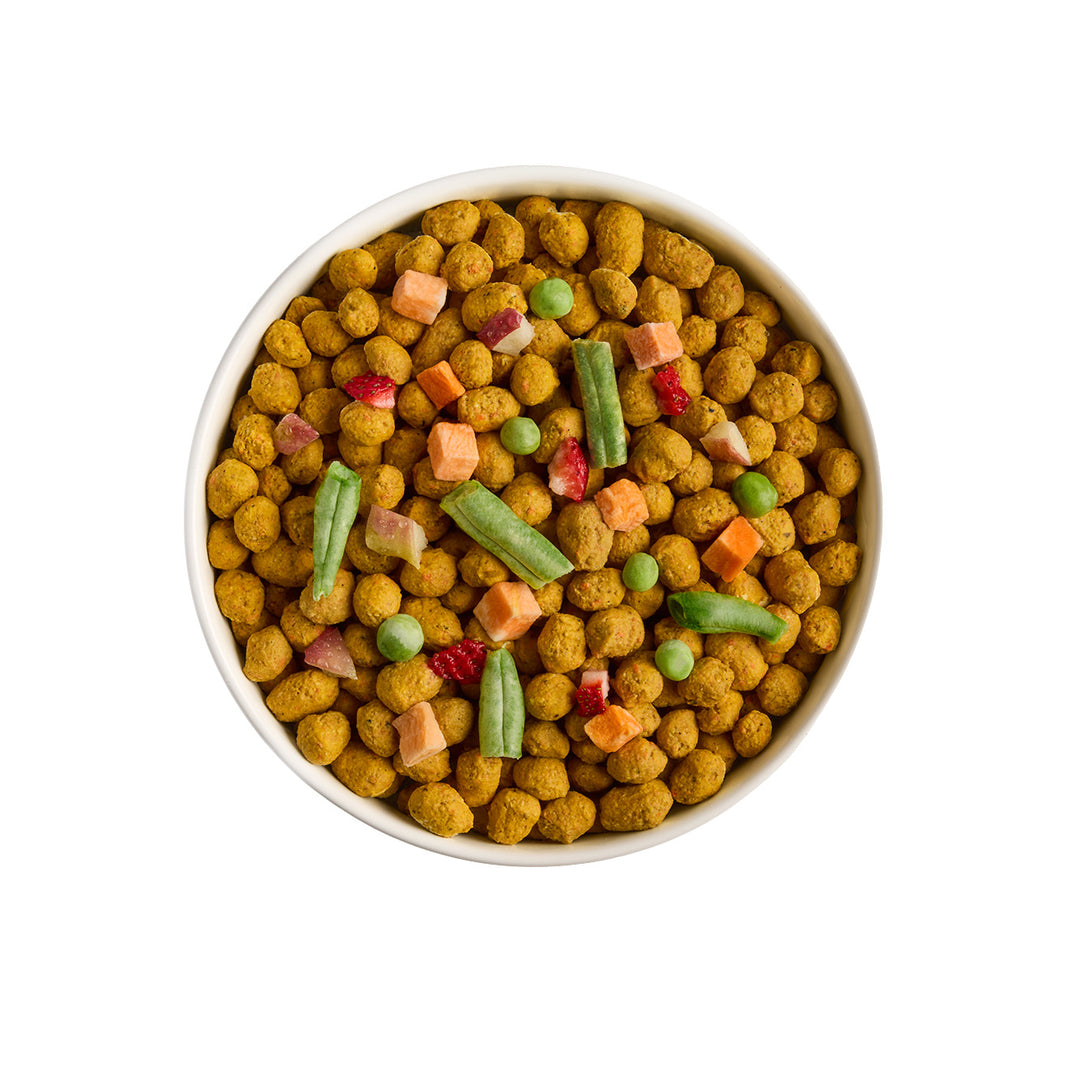 Freeze-Dried Chicken & Vegetables Dog Food and Topper