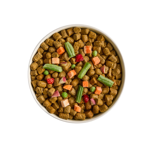 Freeze-Dried Beef & Vegetables Dog Food and Topper