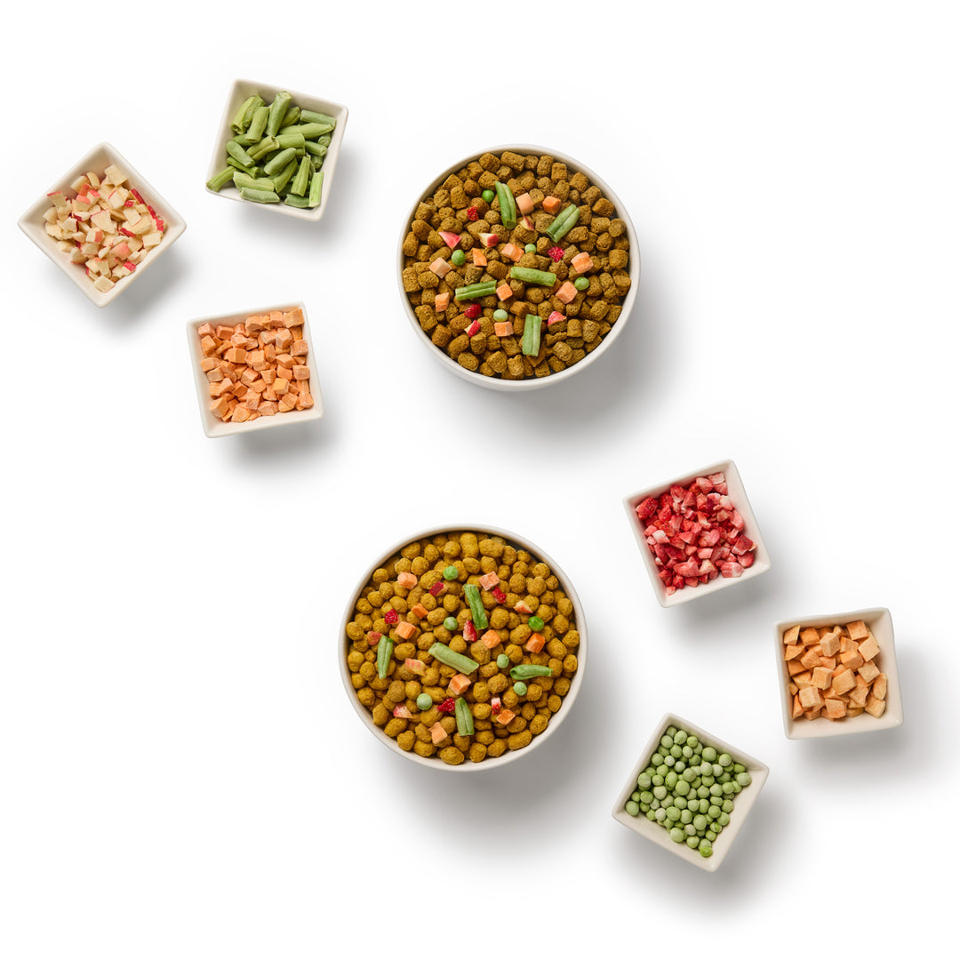 Freeze-Dried Chicken & Vegetables Dog Food and Topper