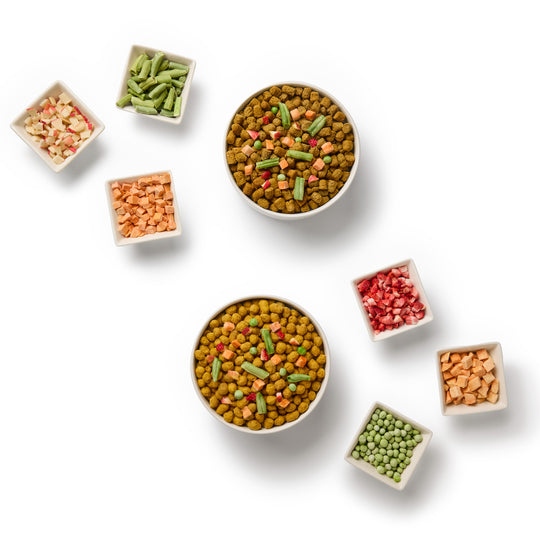 Freeze-Dried Chicken & Vegetables Dog Food and Topper
