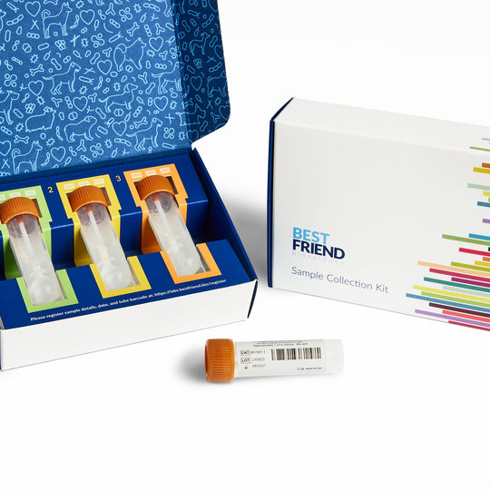 Best Friend Bioscience 3x Gut Transition Test Kit and Report Standalone