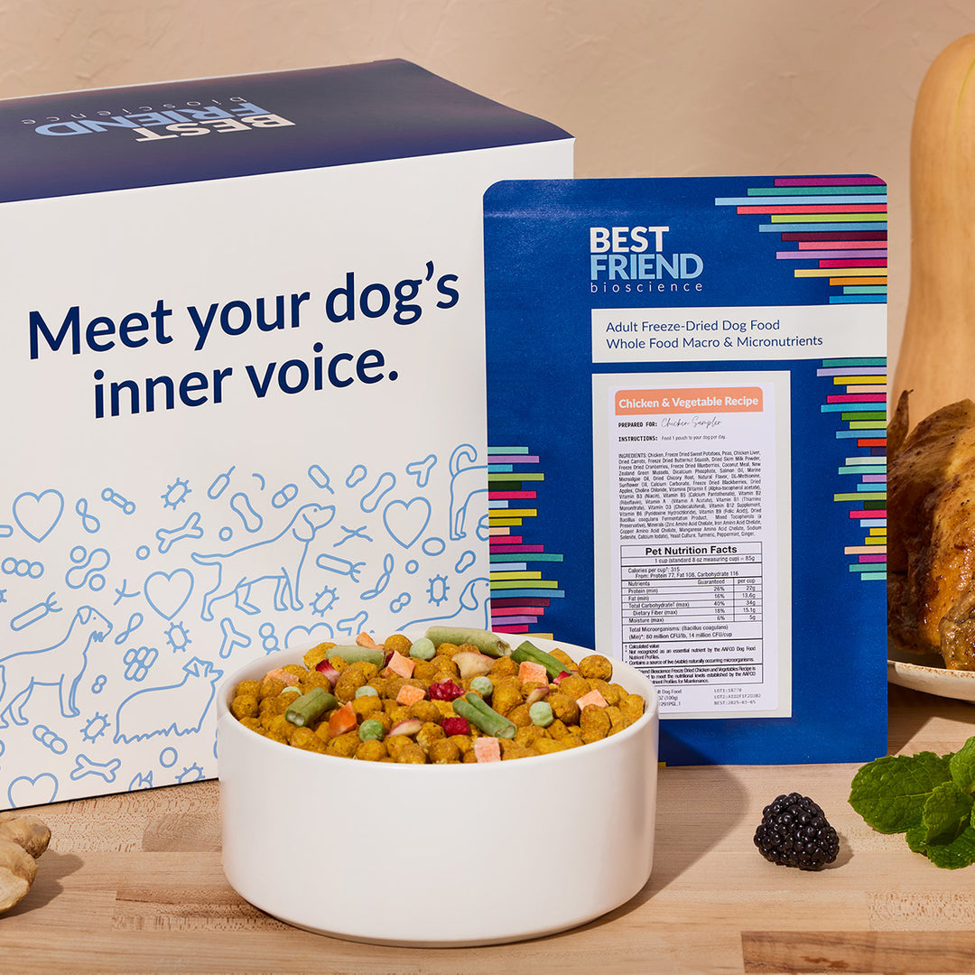 Freeze-Dried Chicken & Vegetables Dog Food and Topper
