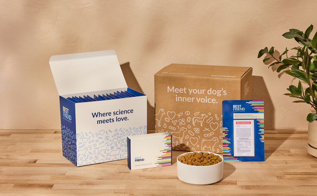 beef recipe comp full plus packaging