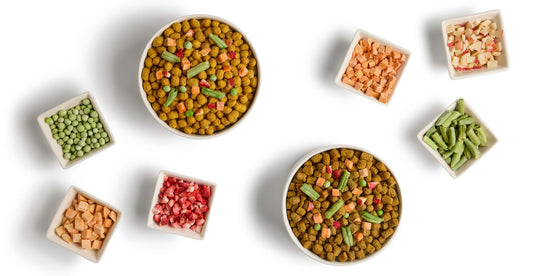 our food top with toppings