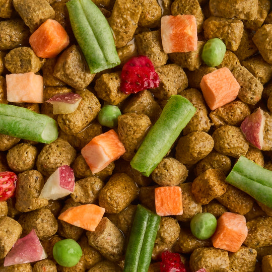 Freeze-Dried Beef & Vegetables Dog Food and Topper