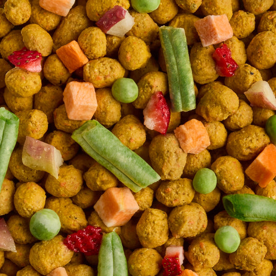 Freeze-Dried Chicken & Vegetables Dog Food and Topper